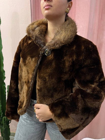 Pelliccia in castoro